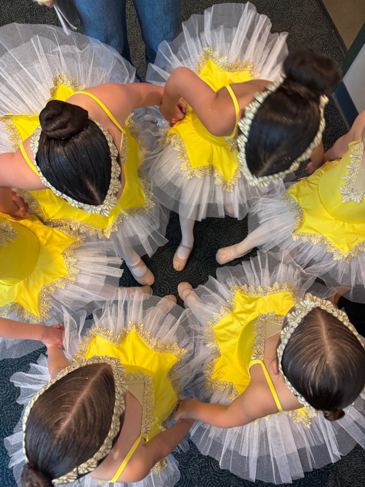 Ballet at Phoenix Van Isle